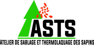 logo ASTS